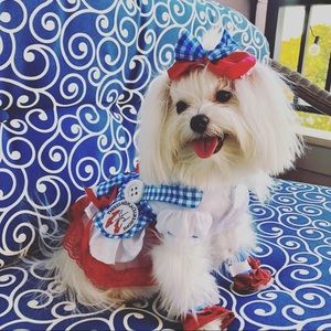 Dog Halloween Costume